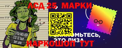 гашик Можга