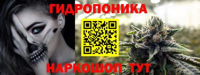 гашик Можга