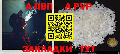 гашик Можга