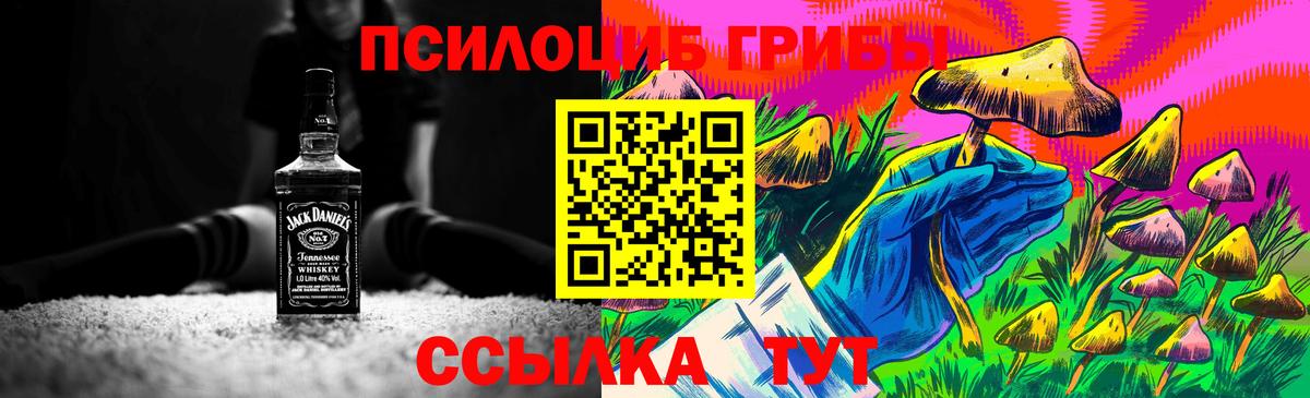 Галлюциногенные грибы MAGIC MUSHROOMS  Псилоцибиновые грибы ЛСД  Вышний Волочёк  Вход с VPN 